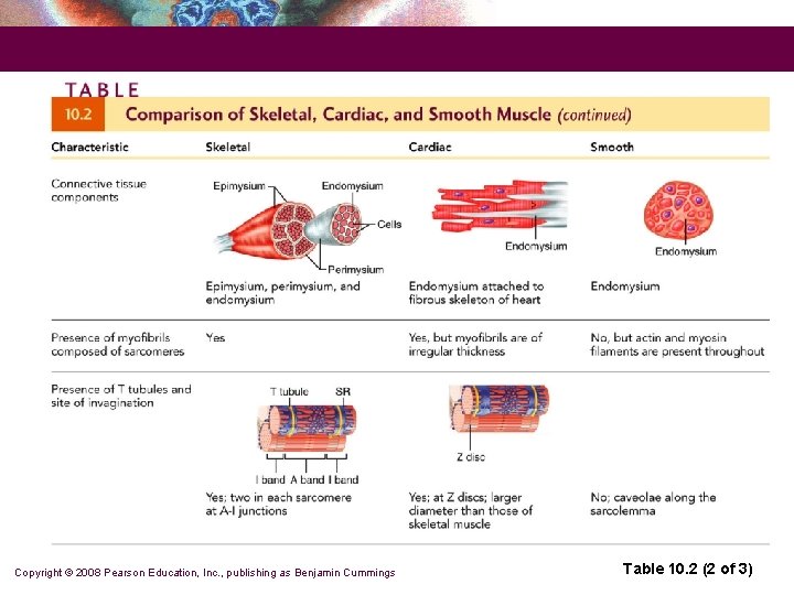 Copyright © 2008 Pearson Education, Inc. , publishing as Benjamin Cummings Table 10. 2