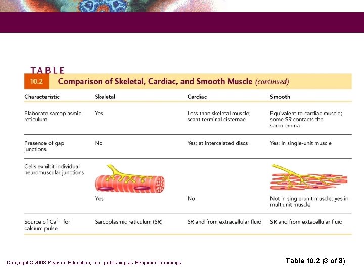 Copyright © 2008 Pearson Education, Inc. , publishing as Benjamin Cummings Table 10. 2