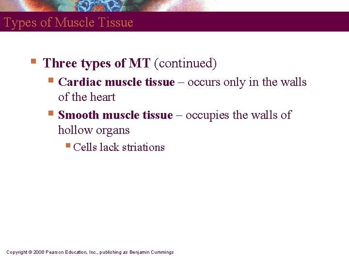 Types of Muscle Tissue § Three types of MT (continued) § Cardiac muscle tissue