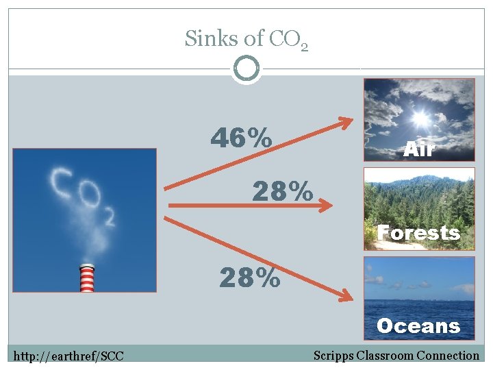 Sinks of CO 2 46% Air 28% Forests 28% Oceans http: //earthref/SCC Scripps Classroom