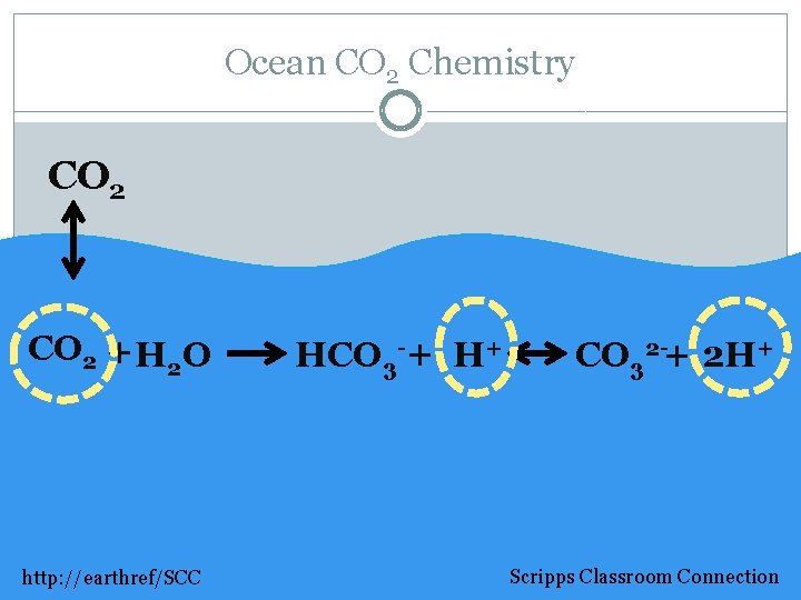 Ocean CO 2 Chemistry CO 2 +H 2 O http: //earthref/SCC HCO 3 -+