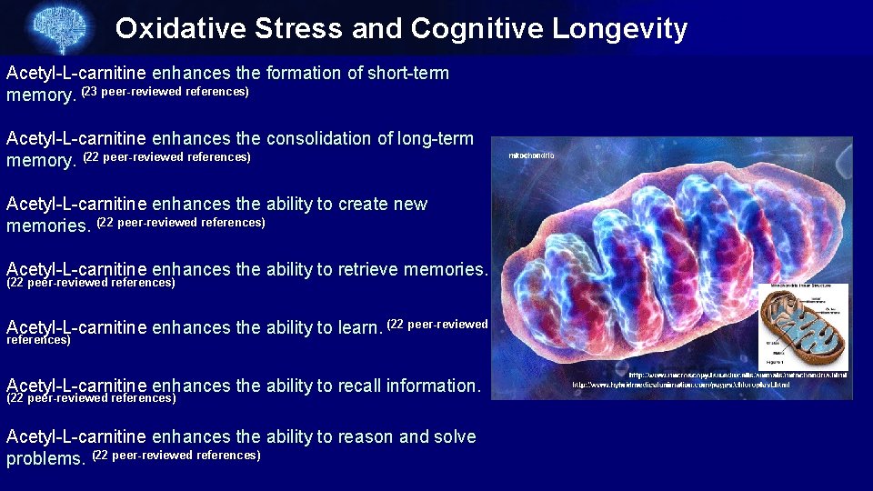 Oxidative Stress and Cognitive Longevity Acetyl-L-carnitine enhances the formation of short-term memory. (23 peer-reviewed