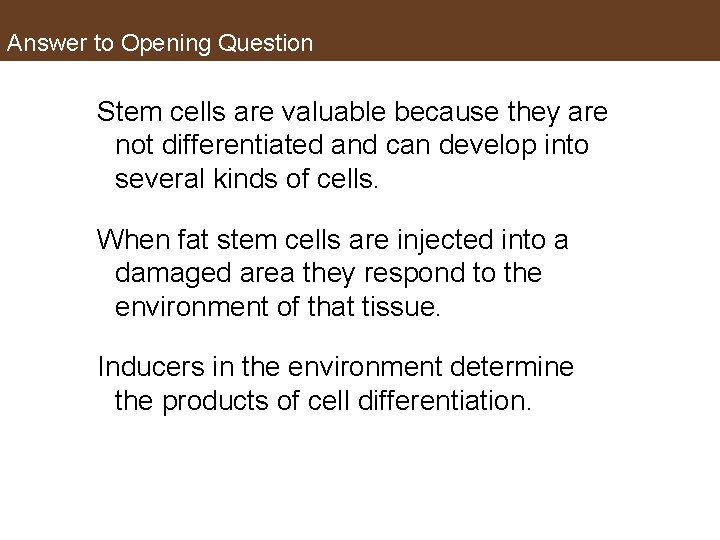 Answer to Opening Question Stem cells are valuable because they are not differentiated and