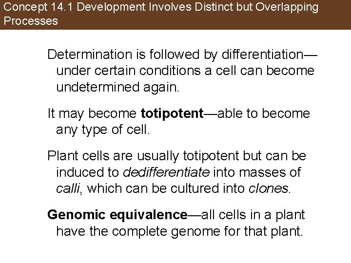 Concept 14. 1 Development Involves Distinct but Overlapping Processes Determination is followed by differentiation—