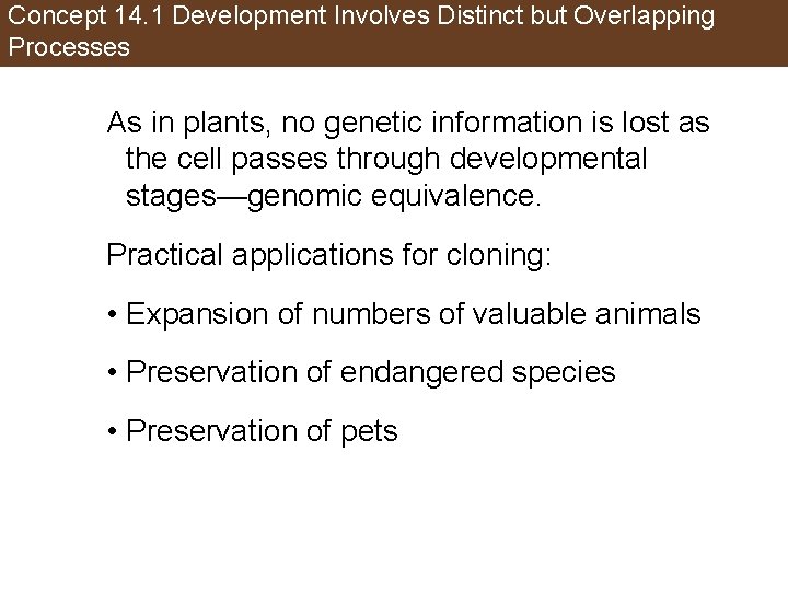 Concept 14. 1 Development Involves Distinct but Overlapping Processes As in plants, no genetic