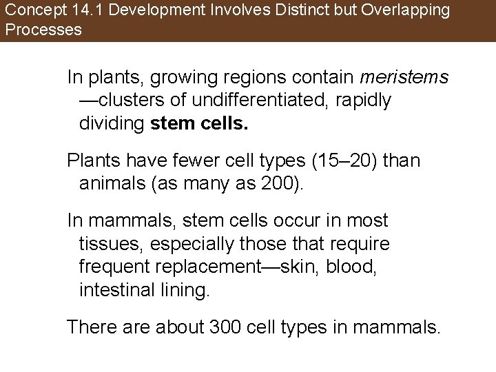 Concept 14. 1 Development Involves Distinct but Overlapping Processes In plants, growing regions contain