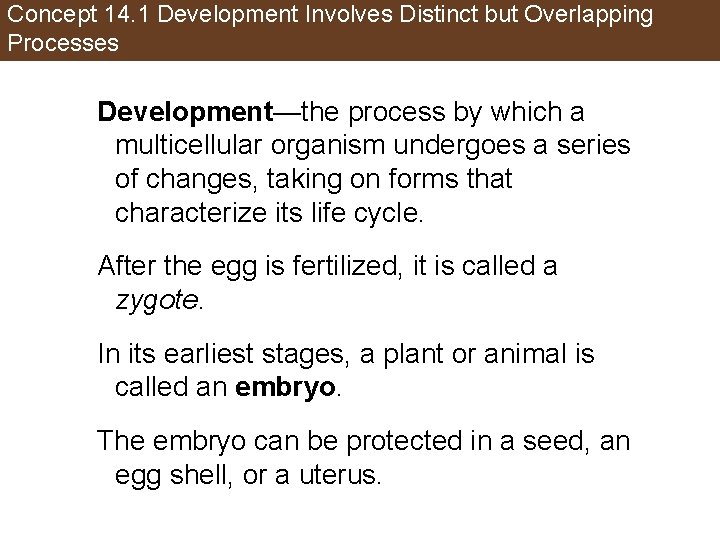 Concept 14. 1 Development Involves Distinct but Overlapping Processes Development—the process by which a