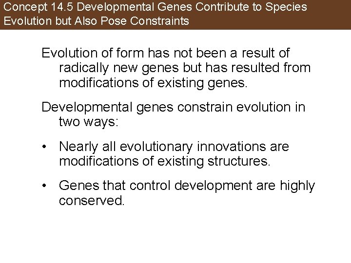 Concept 14. 5 Developmental Genes Contribute to Species Evolution but Also Pose Constraints Evolution