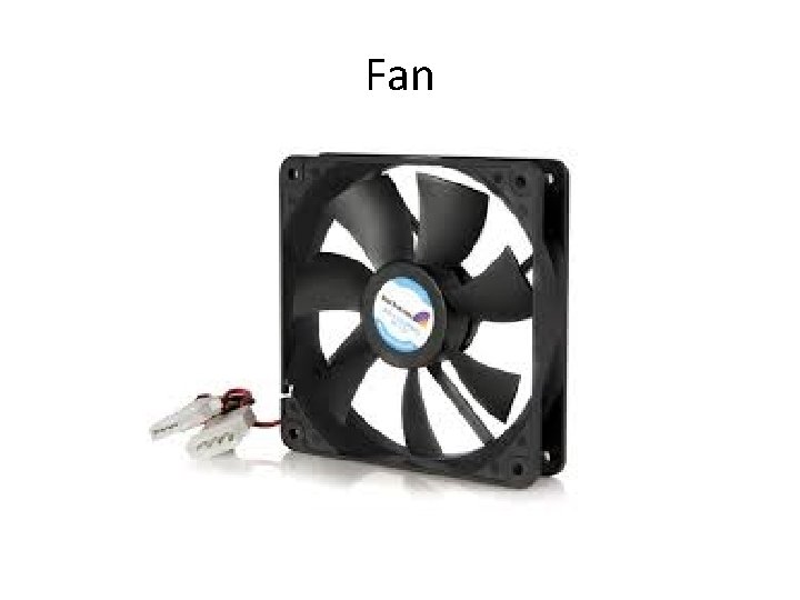 Fan 