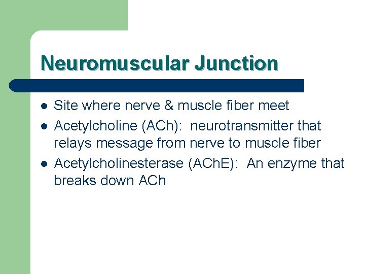 Neuromuscular Junction l l l Site where nerve & muscle fiber meet Acetylcholine (ACh):