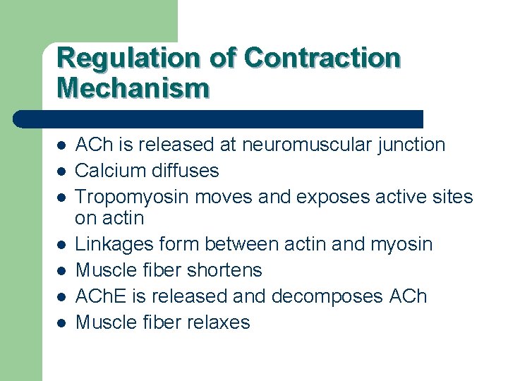 Regulation of Contraction Mechanism l l l l ACh is released at neuromuscular junction