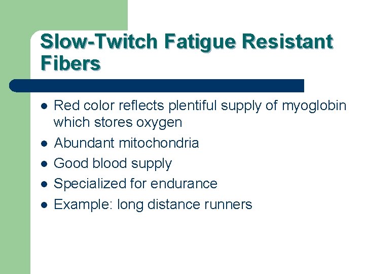 Slow-Twitch Fatigue Resistant Fibers l l l Red color reflects plentiful supply of myoglobin