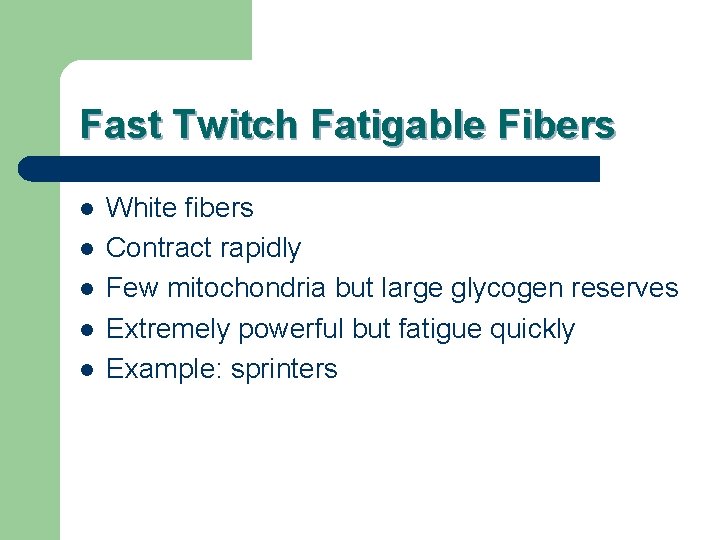 Fast Twitch Fatigable Fibers l l l White fibers Contract rapidly Few mitochondria but