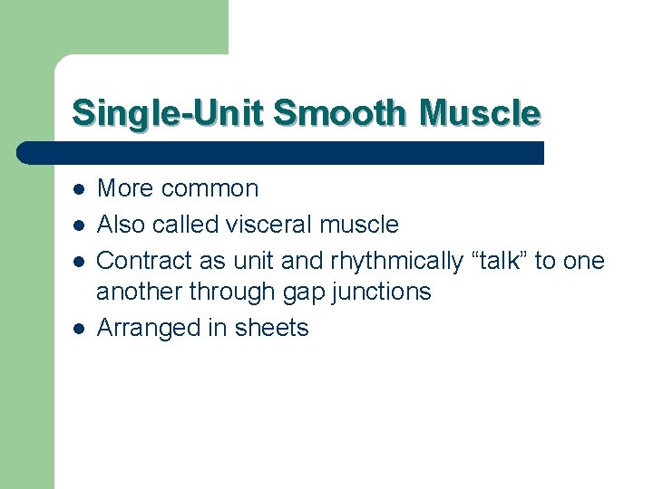 Single-Unit Smooth Muscle l l More common Also called visceral muscle Contract as unit