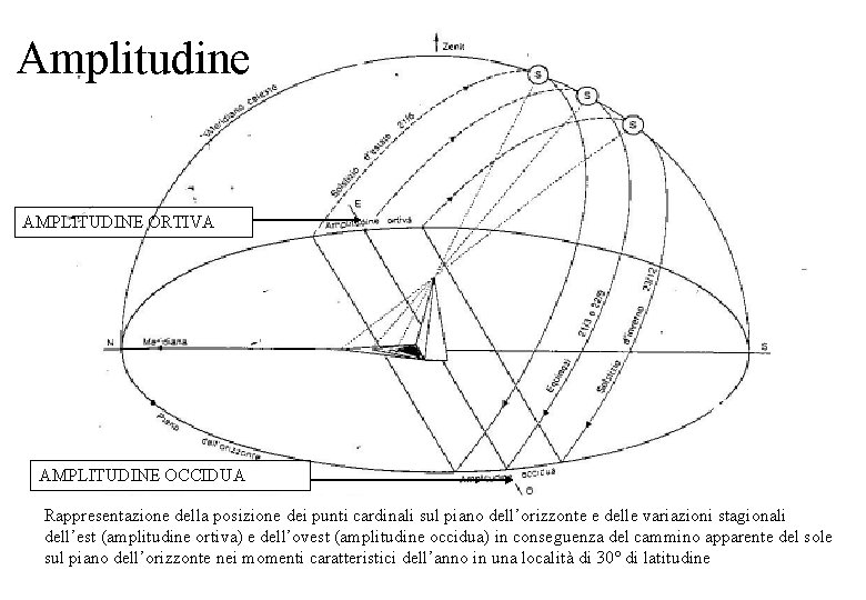 Amplitudine AMPLITUDINE ORTIVA AMPLITUDINE OCCIDUA Rappresentazione della posizione dei punti cardinali sul piano dell’orizzonte