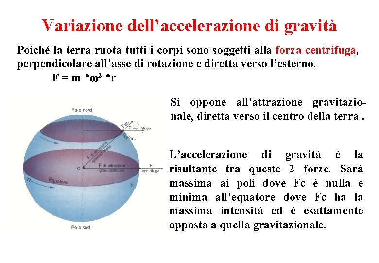 Variazione dell’accelerazione di gravità Poiché la terra ruota tutti i corpi sono soggetti alla