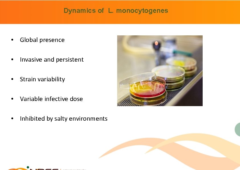 Dynamics of L. monocytogenes • Global presence • Invasive and persistent • Strain variability