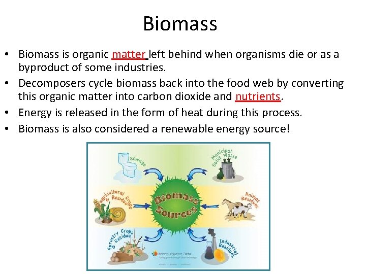 Biomass • Biomass is organic matter left behind when organisms die or as a