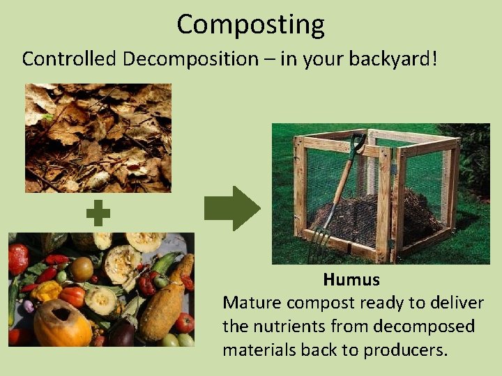 Composting Controlled Decomposition – in your backyard! Humus Mature compost ready to deliver the