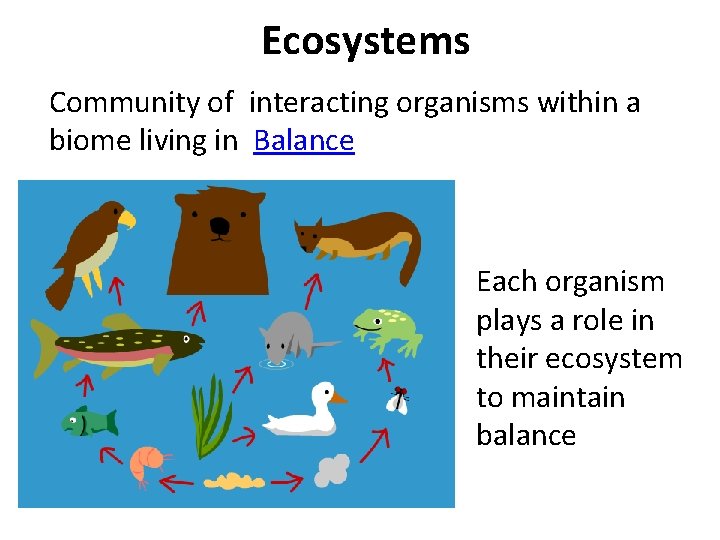 Ecosystems Community of interacting organisms within a biome living in Balance Each organism plays