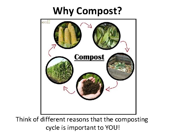 Why Compost? Think of different reasons that the composting cycle is important to YOU!