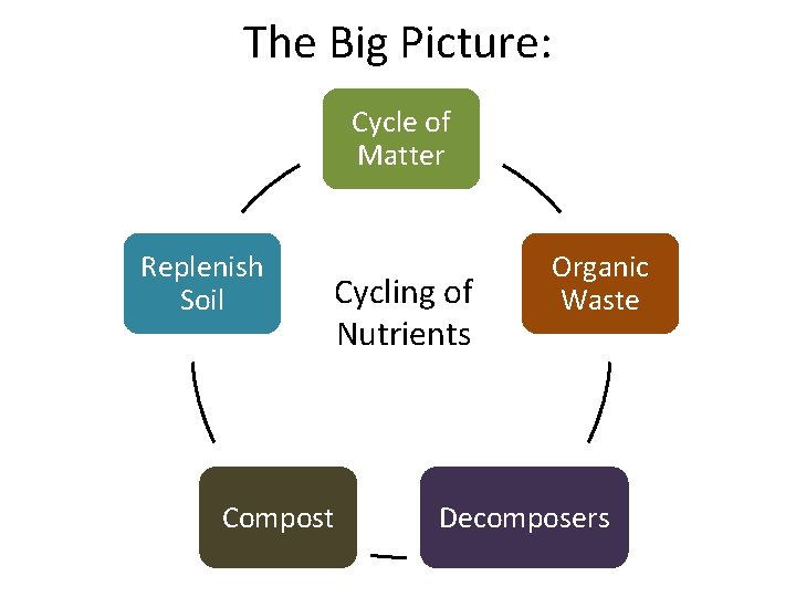 The Big Picture: Cycle of Matter Replenish Soil Cycling of Nutrients Compost Organic Waste