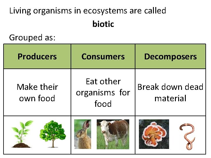 Living organisms in ecosystems are called biotic Grouped as: Producers Make their own food