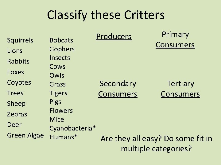 Classify these Critters Squirrels Lions Rabbits Foxes Coyotes Trees Sheep Zebras Deer Green Algae