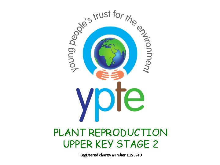 PLANT REPRODUCTION UPPER KEY STAGE 2 Registered charity number 1153740 