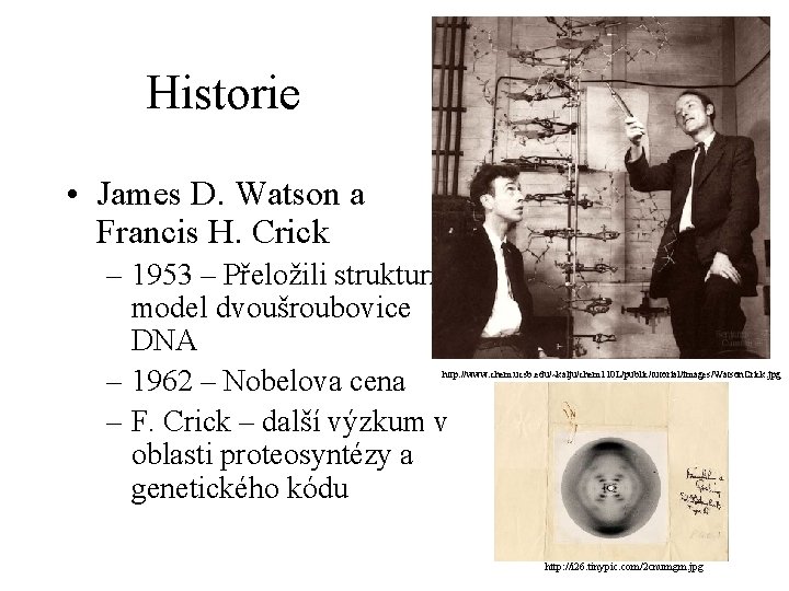 Historie • James D. Watson a Francis H. Crick – 1953 – Přeložili strukturní