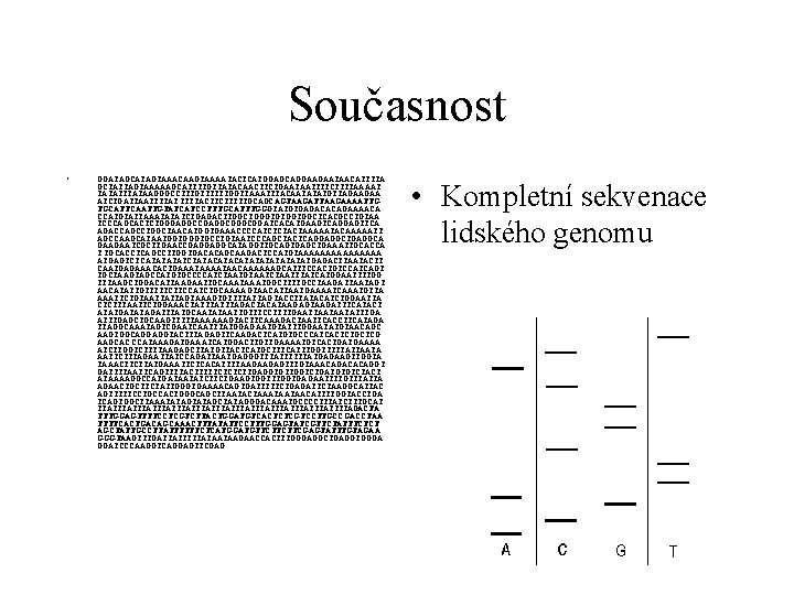 Současnost • GGATAGCATAGTAAACAAGTAAAATACTCATGGAGCAGGAAGAATAACATTTTA GCTATTAGTAAAAAGCATTTTGTTATACAACTTCTGAATAATTTTCTTTTAAAAT TATATTTATAAGGGCCTTTGTTTTTTGGTTAAATTTACAATATATGTTAGAAGAA ATCTGATTAATTTTAT TTTTACTTCTTTTTGCAGCAGTAAGATTAAGAAAATTG TGCATTCAATTGTATCATCCTT TGCATTTGGGTATGTGAGACACAGAAAACA CCATGTATTAAATATATCTGAGACTTGGCT GGGTGTGGTGGCTCACGCCTGTAA TCCCAGCACTCTGGGAGGCCGAGGCGGATCAC ATGAAGTCAGGAGTTCA AGACCAGCCTGGCTAACATGGTGAAACCCCATCTCTACTAAAAATACAAAAATT