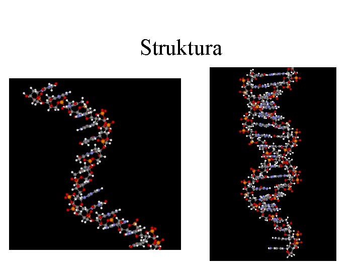 Struktura 