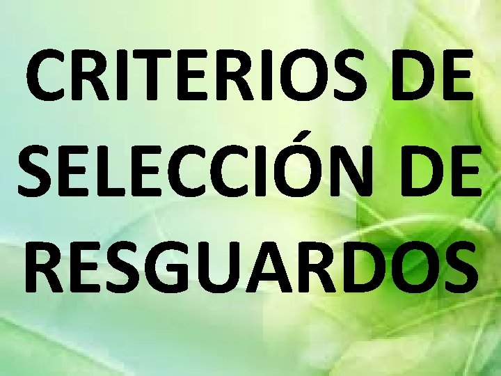 CRITERIOS DE SELECCIÓN DE RESGUARDOS 