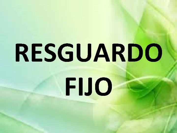 RESGUARDO FIJO 