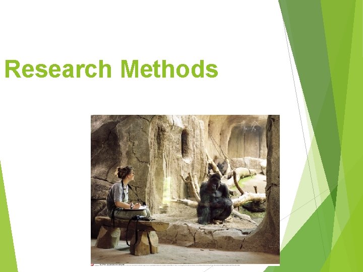 Research Methods Research Methods
