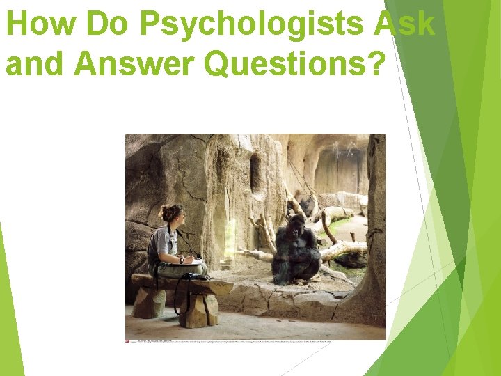 How Do Psychologists Ask and Answer Questions? How Do Psychologists Ask and Answer Questions?