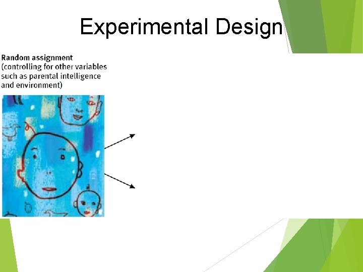Experimental Design Experimental Design