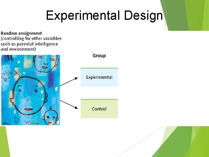Experimental Design Experimental Design