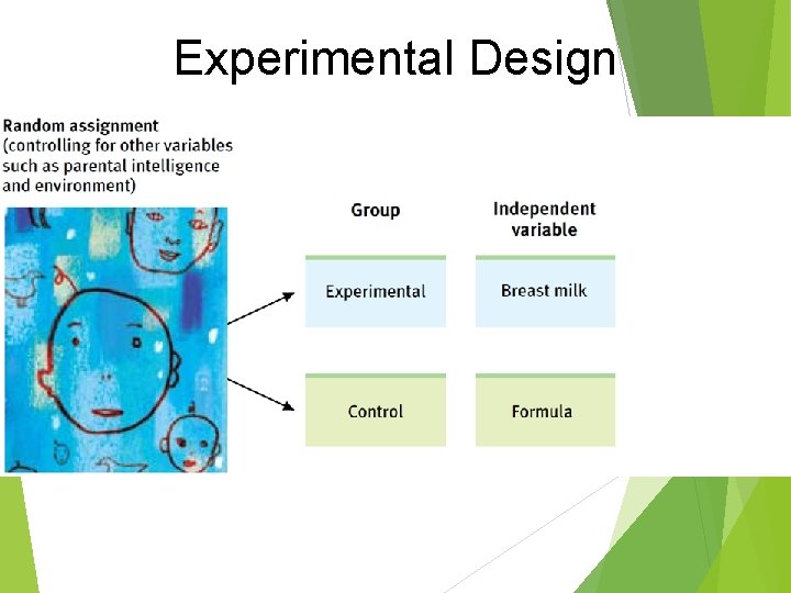 Experimental Design Experimental Design