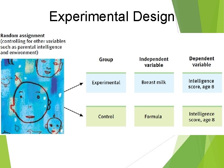 Experimental Design Experimental Design