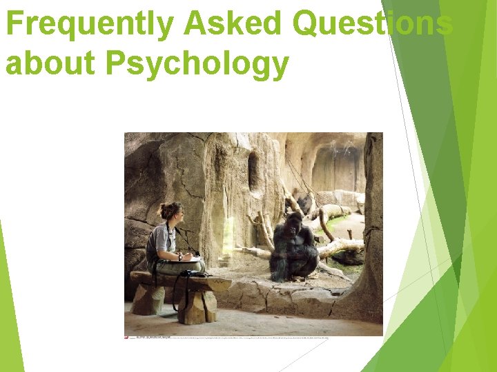 Frequently Asked Questions about Psychology Frequently Asked Questions about Psychology