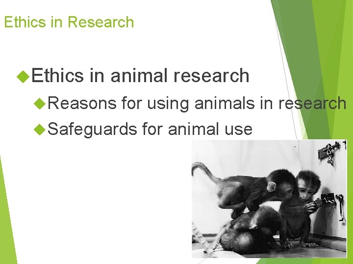 Ethics in Research Ethics in animal research Reasons for using animals in research Safeguards Ethics in Research Ethics in animal research Reasons for using animals in research Safeguards