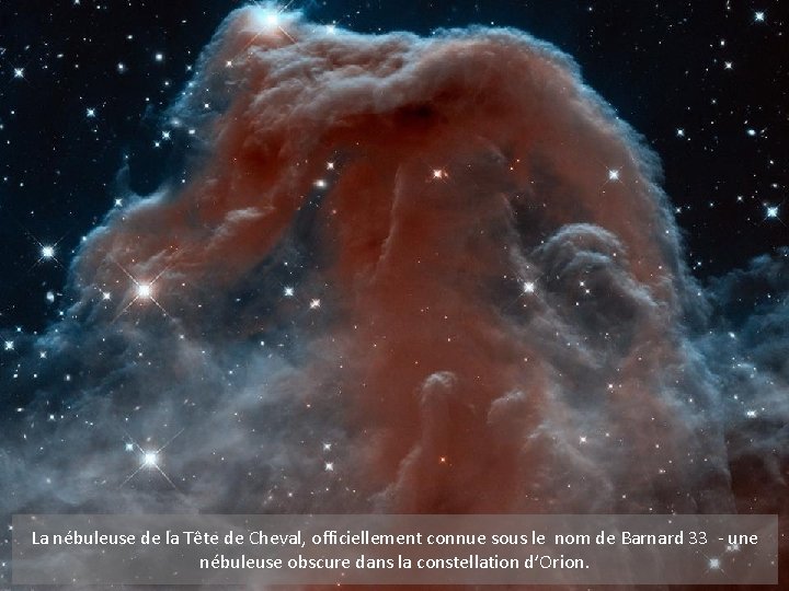 La nébuleuse de la Tête de Cheval, officiellement connue sous le nom de Barnard