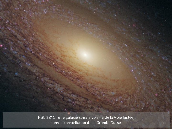 NGC 2841 : une galaxie spirale voisine de la Voie lactée, dans la constellation