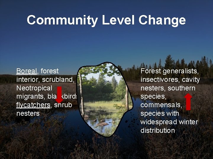 Community Level Change Boreal, forest interior, scrubland, Neotropical migrants, blackbirds, flycatchers, shrub nesters Forest