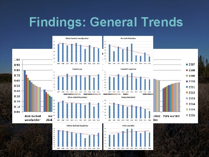 Findings: General Trends 