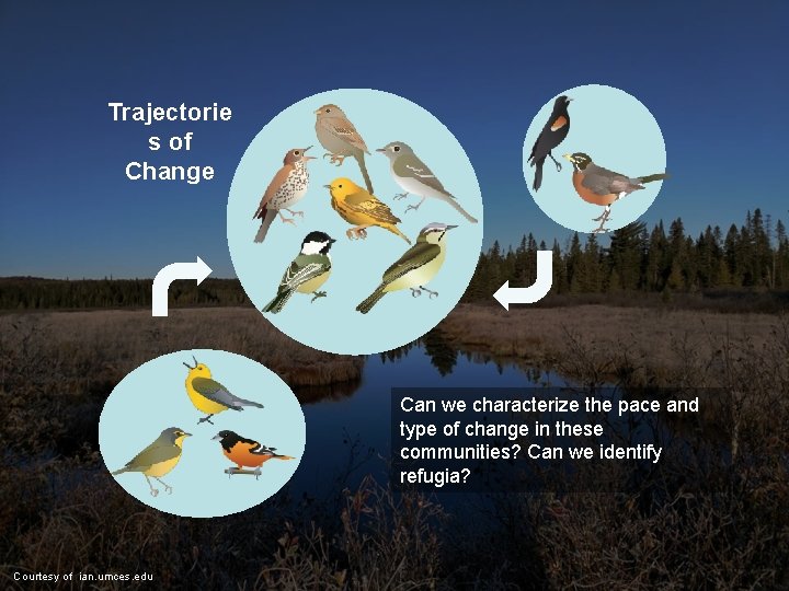 Trajectorie s of Change Can we characterize the pace and type of change in