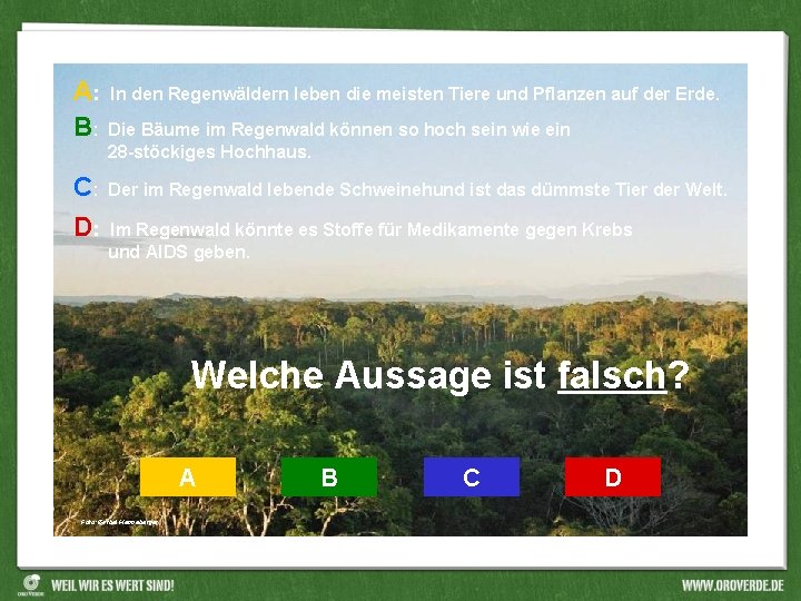 A: B: C: D: In den Regenwäldern leben die meisten Tiere und Pflanzen auf