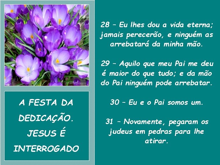 28 – Eu lhes dou a vida eterna; jamais perecerão, e ninguém as arrebatará