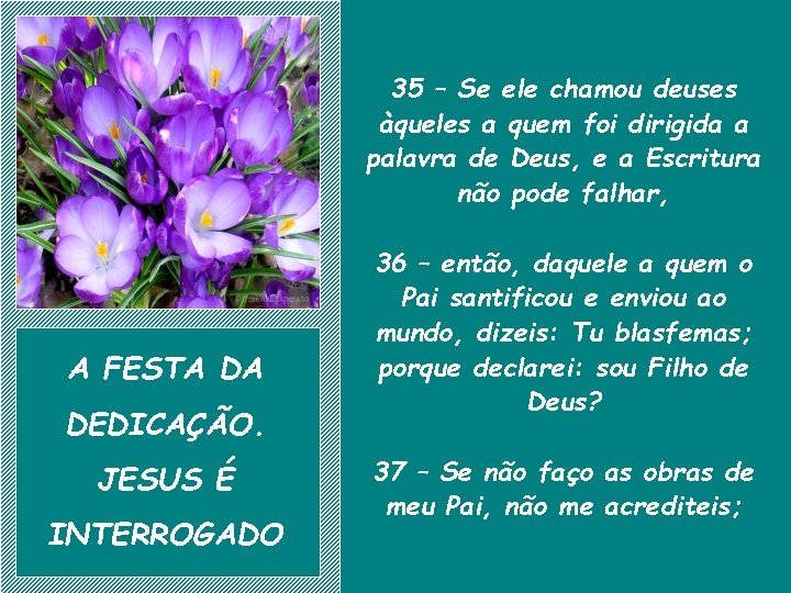 35 – Se ele chamou deuses àqueles a quem foi dirigida a palavra de